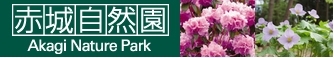 赤城自然公園