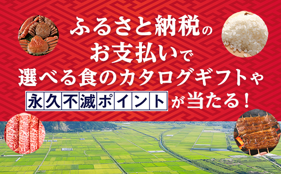 ふるさと納税のお支払いで、選べる食のカタログギフトなどが当たる