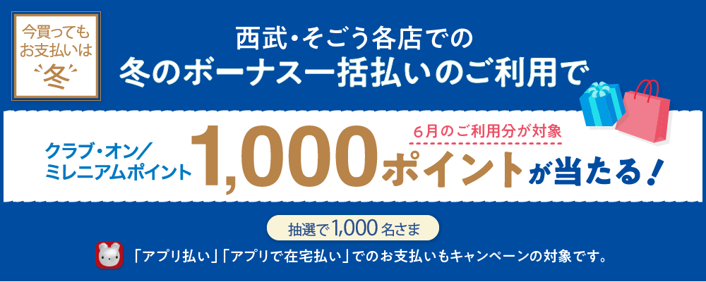 夏のボーナス一括払いキャンペーン 抽選で1,000名さま 永久不滅ポイント200ポイント(1,000円相当)プレゼント