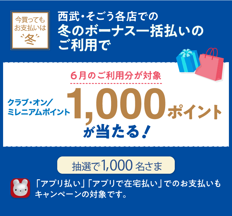 夏のボーナス一括払いキャンペーン 抽選で1,000名さま 永久不滅ポイント200ポイント(1,000円相当)プレゼント