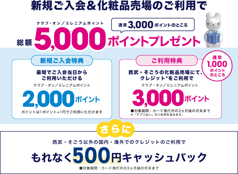 新規ご入会&化粧品売場のご利用でクラブ・オン／ミレニアムポイント総額5,000ポイントプレゼント！さらに、西武・そごう以外の国内・海外でのクレジットのご利用で、もれなく500円キャッシュバック