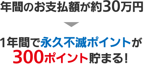 年間お支払額約40万円 → 永久不滅ポイント400ポイント 1年間で永久不滅ポイントが400ポイント貯まる！