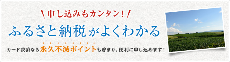 申し込みもカンタン!ふるさと納税がよくわかる!カード決済ならポイントも貯まり、便利に申し込めます!