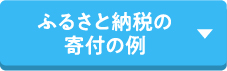 ふるさと納税の寄付の例