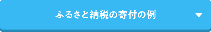 ふるさと納税の寄付の例