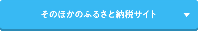 そのほかのふるさと納税サイト