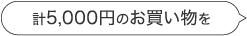 計5000円のお買い物を