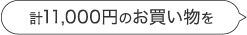 計11,000円のお買い物を