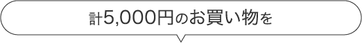 計5000円のお買い物を