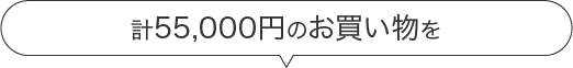 計1000円のお買い物を