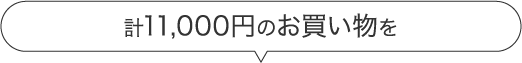 計11,000円のお買い物を