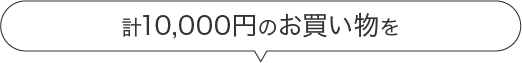 計1000円のお買い物を