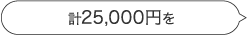 計25,000円のお買い物を