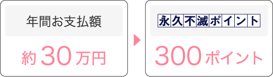 年間お支払額:約30万円 →　永久不滅ポイント:300ポイント