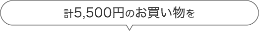 計5500円のお買い物を