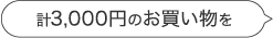 計3000円のお買い物を