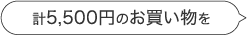 計3000円のお買い物を