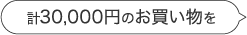 計30,000円のお買い物を